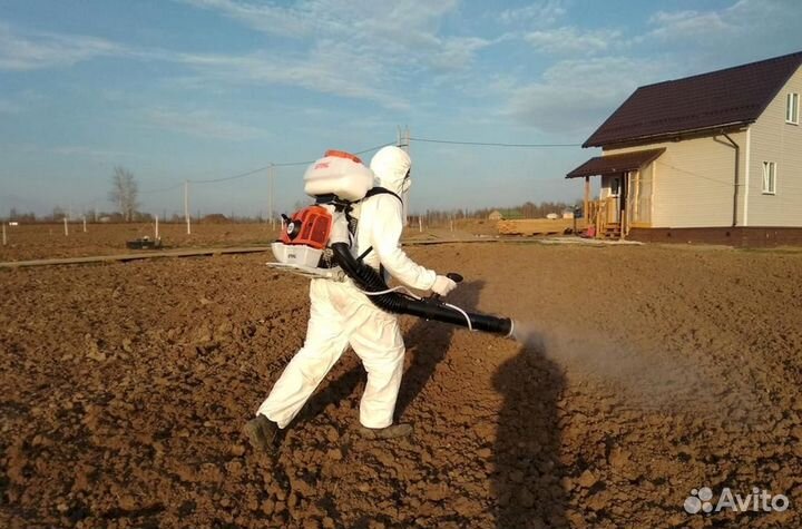 Уничтожение клопов тараканов грызунов