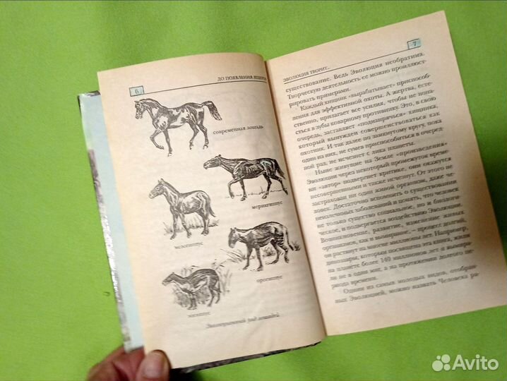 Все о диназаврах. Детская энциклопедия. 2001г