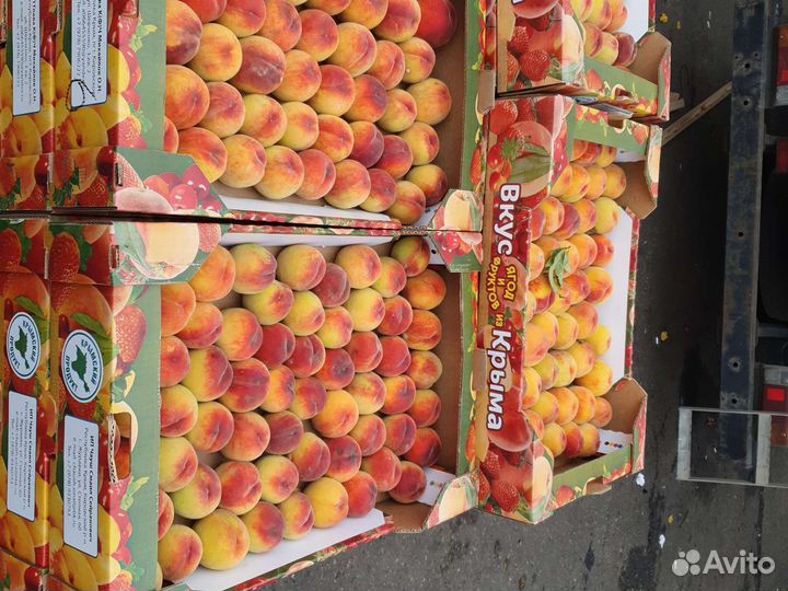 Персик крымский