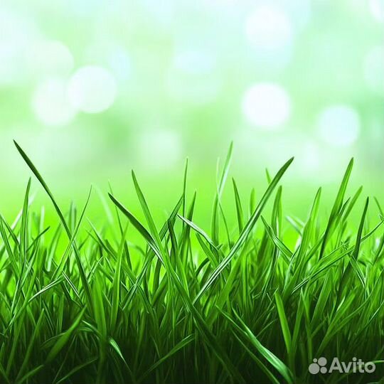 iPhone 13 Pro, 128 ГБ