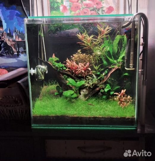 Аквариум 50 литров