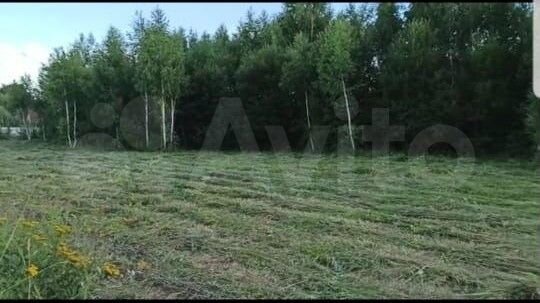 Участок 22,6 сот. (СНТ, ДНП)
