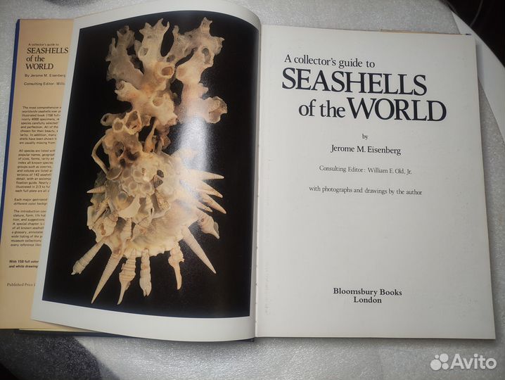 Книга по морским раковинам Seashells of the World