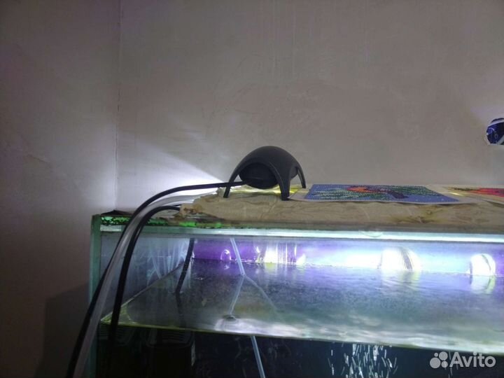 Аквариум с рыбками бу