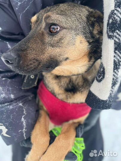 Загляните в эти глаза