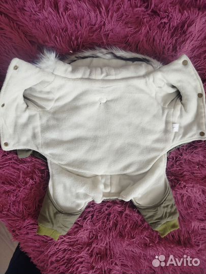 Зимняя одежда для собак мелких пород