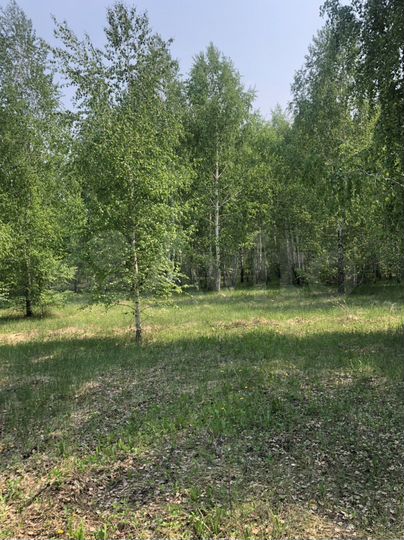 Участок 10 сот. (ИЖС)