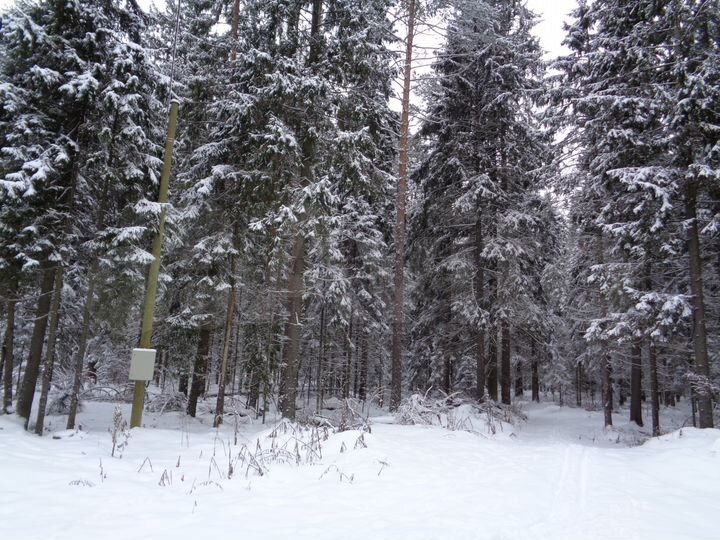 Участок 1,34 га (ИЖС)