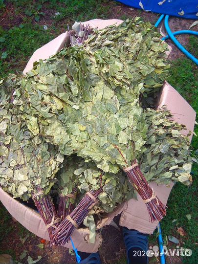 Банные веники