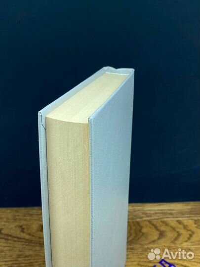 Сердар (В трущобах Индии)