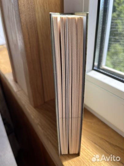 Книга чернобыль