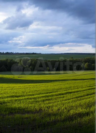 Участок 2 га (СНТ, ДНП)