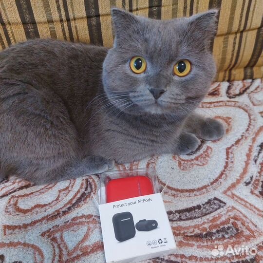 Чехол для airpods + стекло для iPhone 8+