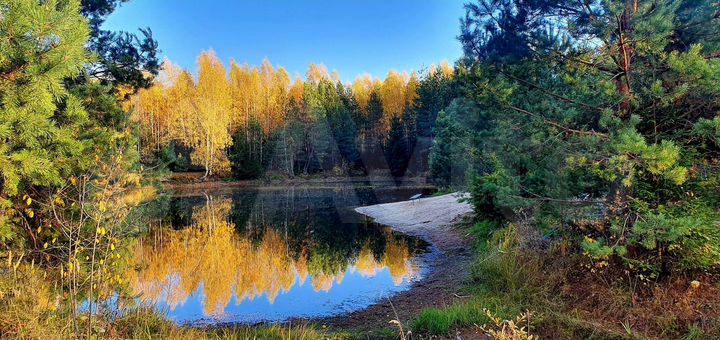 Дача 49 м² на участке 12 сот.