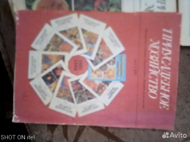 Приусадебное хозяйство книги 1991 1992 цена завсе
