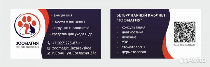 Ветеринарный врач