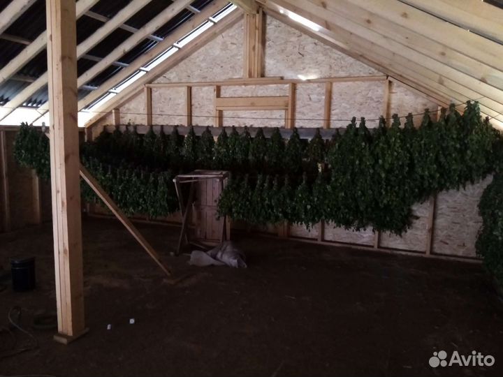 Веники для бани, веник березовый