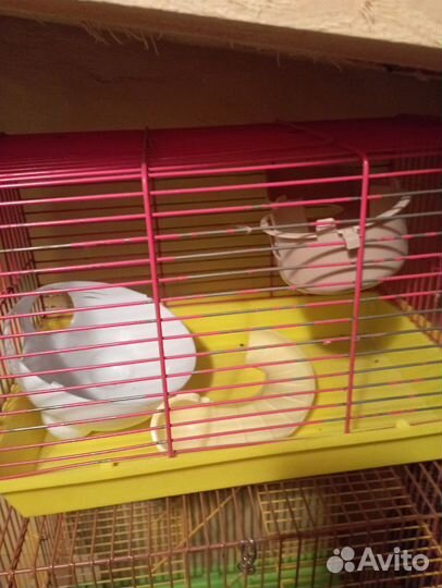 Клетка для грызунов