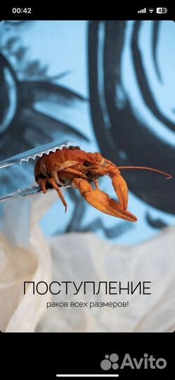 Варёные раки