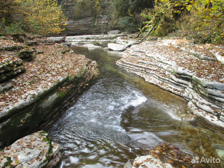 Экскурсии/Гид по Сочи и Абхазии