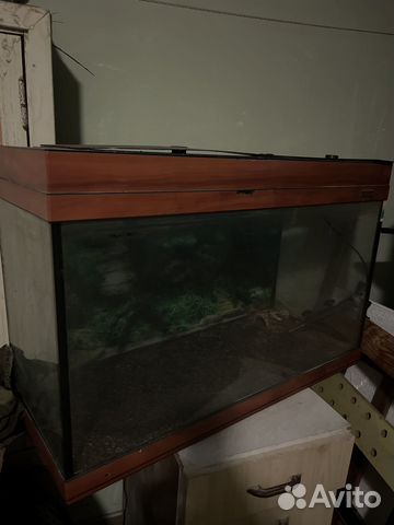Аквариум