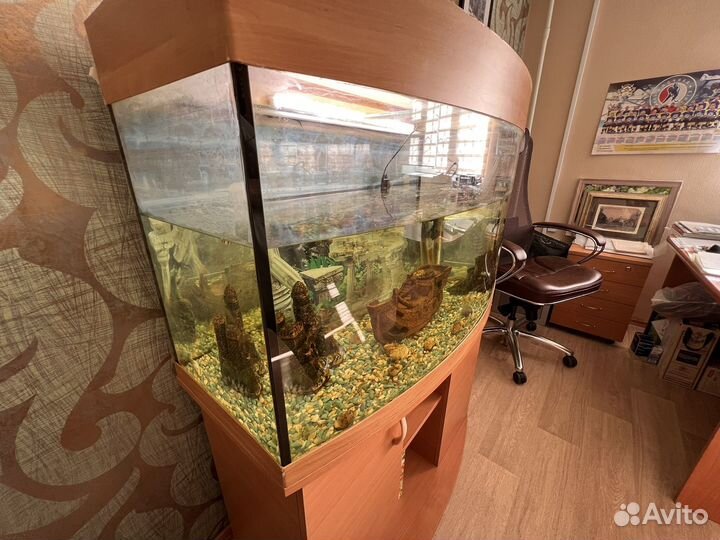 Аквариум 250л