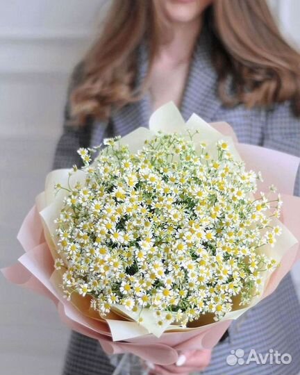 Цветы ромашки. Букеты ромашек. Цветы доставка