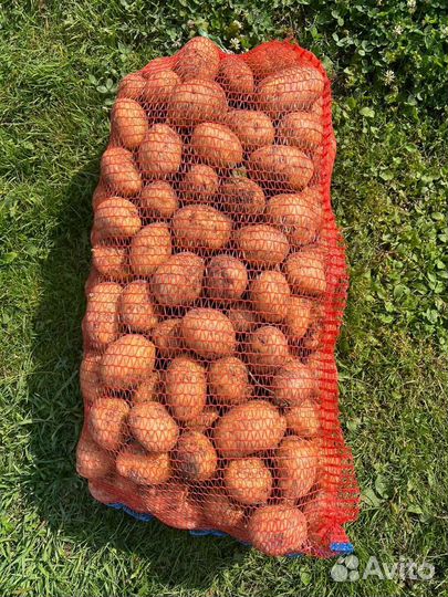 Картофель деревенский с доставкой