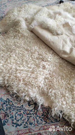 Шкуры Овечья шкура козы натуральный мех