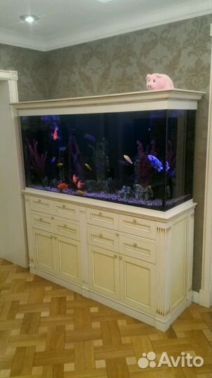 Обслуживание аквариумов