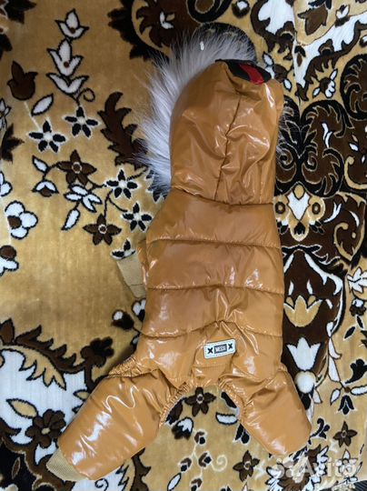 Комбинезон для собаки