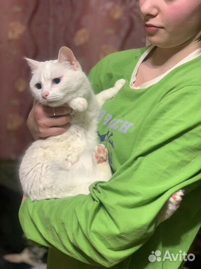 Подарите дом сироте