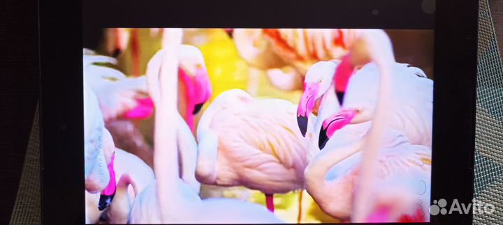 Планшет Nexus 9