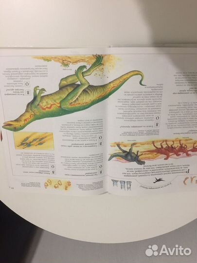 Энциклопедия почемучек