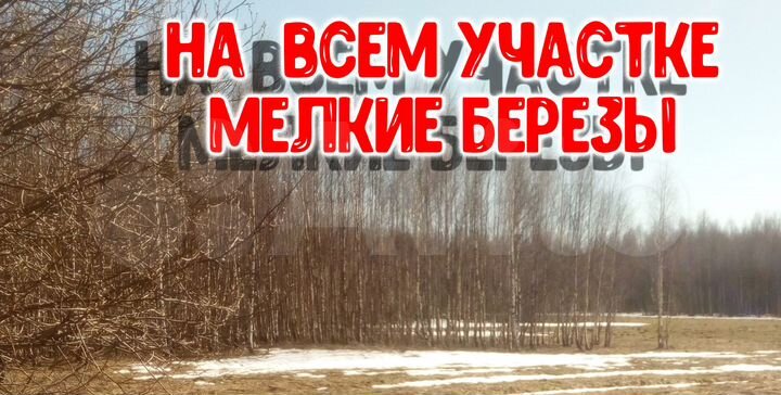 Участок 4,38 га (СНТ, ДНП)