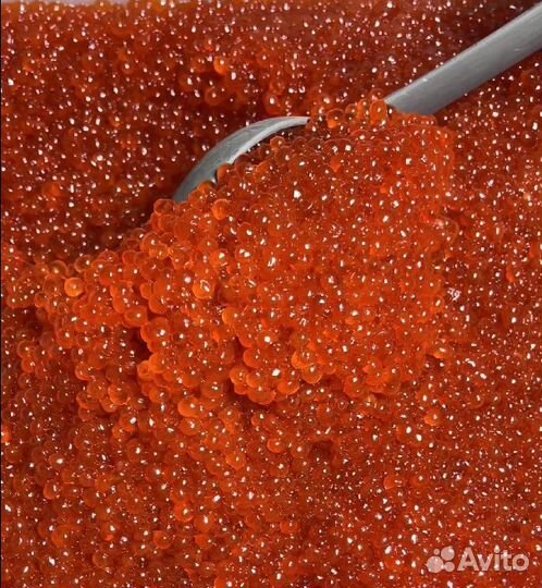 Красная икра кеты