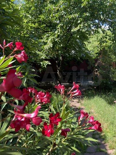 Комната 12 м², 2/3 эт.