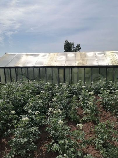 Дом 30 м² на участке 9 сот.