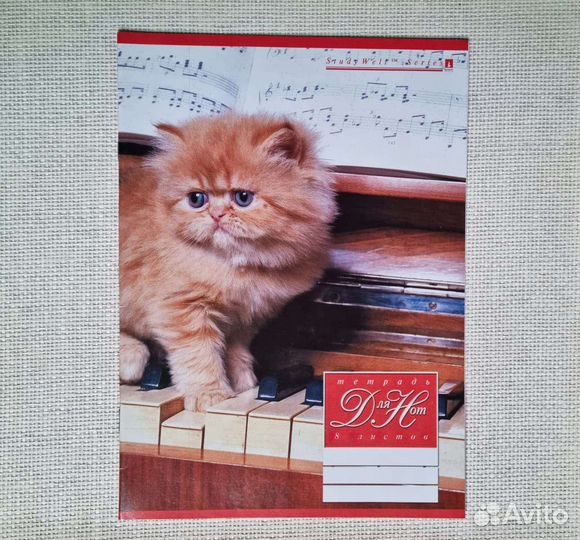 Тетрадь для нот 24 листа, 8 листов