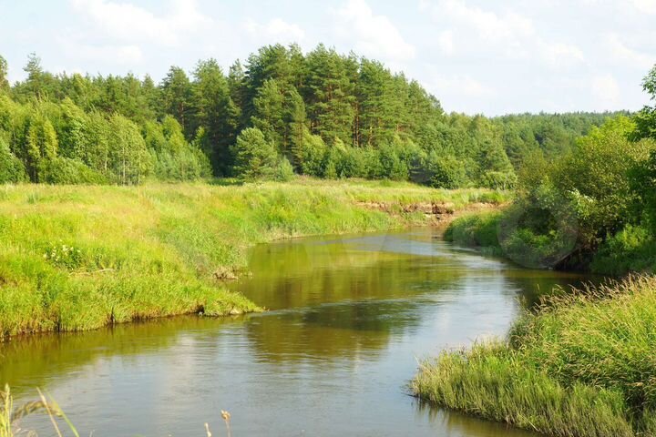 Участок 10 га (СНТ, ДНП)