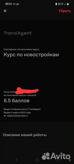 Менеджер по продажам риэлтор коллектор