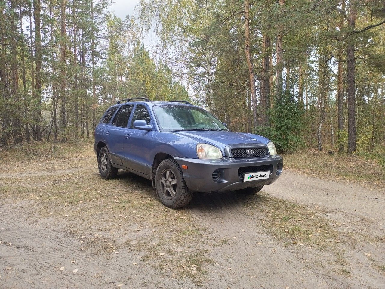 Hyundai Santa Fe: фото владельца