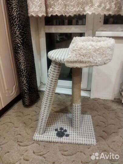 Когтеточка-лесенка