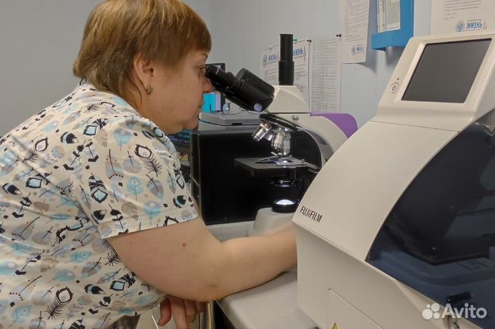 Ветеринарный врач