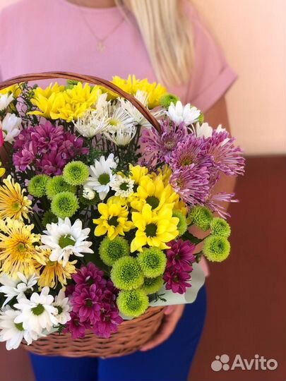 Хризантемы кустовые