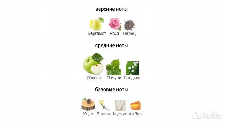 12 Parfumeurs Francais - Le Roi Chevalier