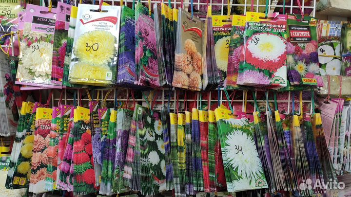 Семена цветы