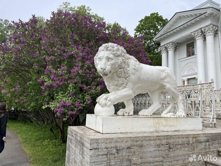 Экскурсии по Санкт-Петербургу и пригородам