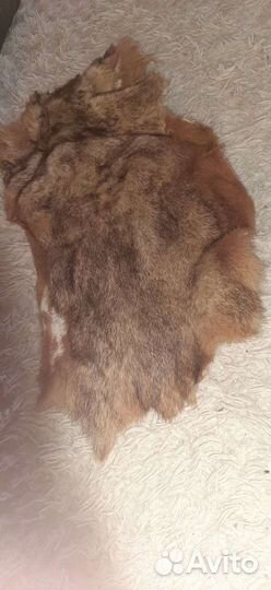Шкуры сурка
