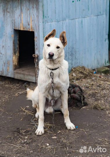 Буба очень ждет семью